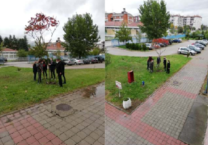 активности